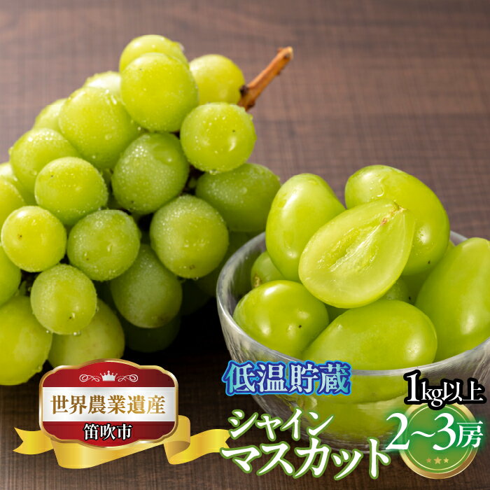 ＜25年発送先行予約＞山梨県笛吹市産 低温貯蔵シャインマスカット 2房～3房 1kg以上 ふるさと納税 ぶどう シャインマスカット 笛吹市 国産 人気 期間限定 果物 フルーツ 旬 山梨県 送料無料 223-009