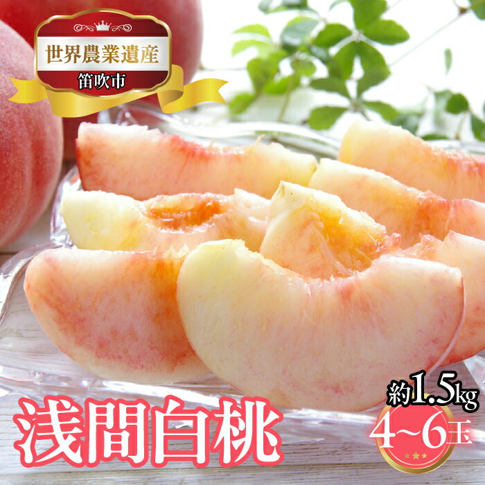 【2026年発送★先行予約】山梨県笛吹市産　浅間白桃　約1.5kg　4玉～6玉 223-022