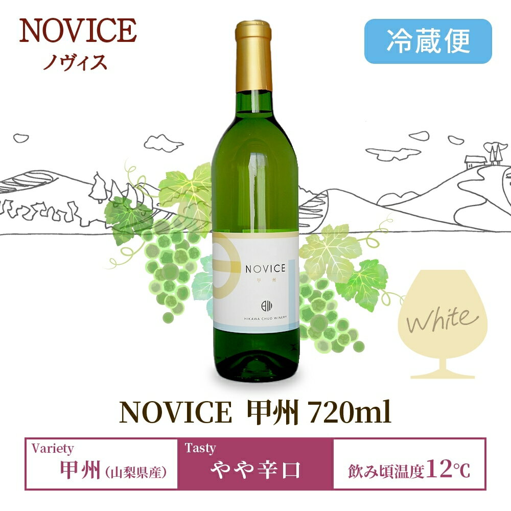 【ふるさと納税】白ワイン NOVICEノヴィス 甲州 720ml×1本 フルボトル 日川中央葡萄酒 山梨県 笛吹市 ふるさと納税 ワイン 甲州 白ワイン 酒 果実酒 ギフト 家飲み パーティー のし 名入れ不可 送料無料 山梨県 笛吹市 177-7-12 サムネイル3