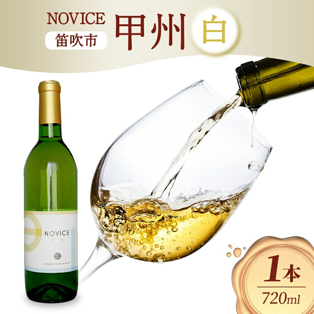 白ワイン NOVICEノヴィス 甲州 720ml×1本 フルボトル 日川中央葡萄酒 山梨県 笛吹市 ふるさと納税 ワイン 甲州 白ワイン 酒 果実酒 ギフト 家飲み パーティー のし 名入れ不可 送料無料 山梨県 笛吹市 177-7-12