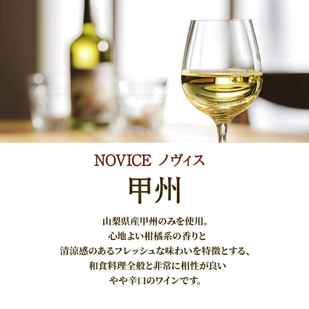 【ふるさと納税】白ワイン NOVICEノヴィス 甲州 1800ml×1本 フルボトル 日川中央葡萄酒 山梨県 笛吹市 ふるさと納税 ワイン 甲州 白ワイン 一升瓶 酒 果実酒 ギフト 家飲み パーティー のし 名入れ不可 送料無料 山梨県 笛吹市 177-7-15 サムネイル2