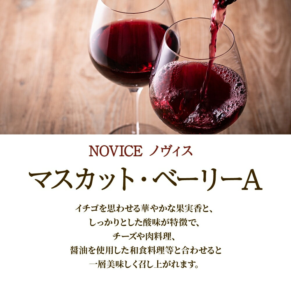 【ふるさと納税】ワイン NOVICE 赤＆白 飲み比べ セット 720ml 各1本 計2本 フルボトル 甲州 マスカット ベーリーA ミディアム 辛口 日川中央葡萄酒 山梨県 笛吹市 ふるさと納税 ワイン 甲州 ベーリーA 赤ワイン 白ワイン 酒 送料無料 山梨県 笛吹市 177-7-20 サムネイル2