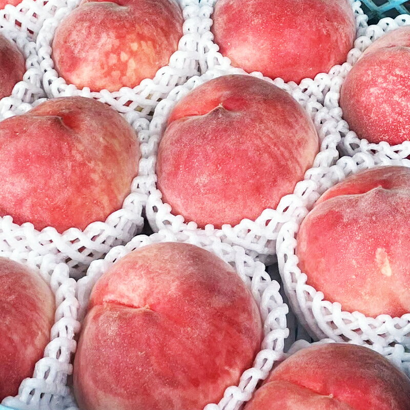 【ふるさと納税】【2026年発送★先行予約】笛吹市産白桃 1箱 2kg程度 ふるさと納税 おすすめ ランキング もも 桃 笛吹市 国産 人気 期間限定 果物 フルーツ おやつ デザート ピーチ 旬 山梨県 送料無料 サムネイル3