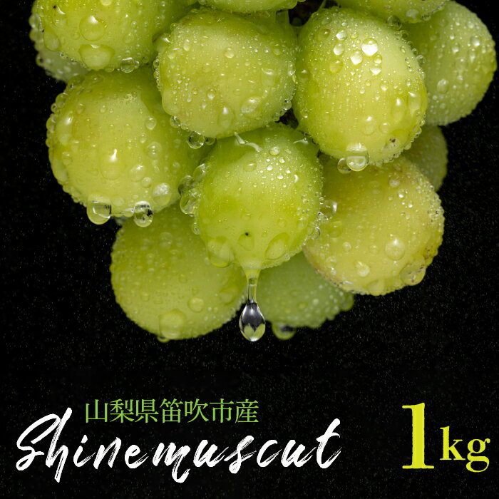 シャインマスカット 2房 1kg 山梨県笛吹市産 ふるさと納税 ぶどう シャインマスカット 笛吹市 国産 人気 期間限定 果物 フルーツ 旬 山梨県 送料無料 235-002