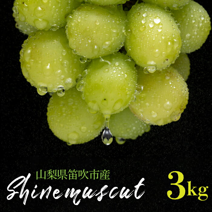 ＜25年発送＞【2026年発送★先行予約】シャインマスカット 3kg 山梨県笛吹市産 ふるさと納税 ぶどう シャインマスカット 笛吹市 国産 人気 期間限定 果物 フルーツ 旬 山梨県 送料無料 235-004