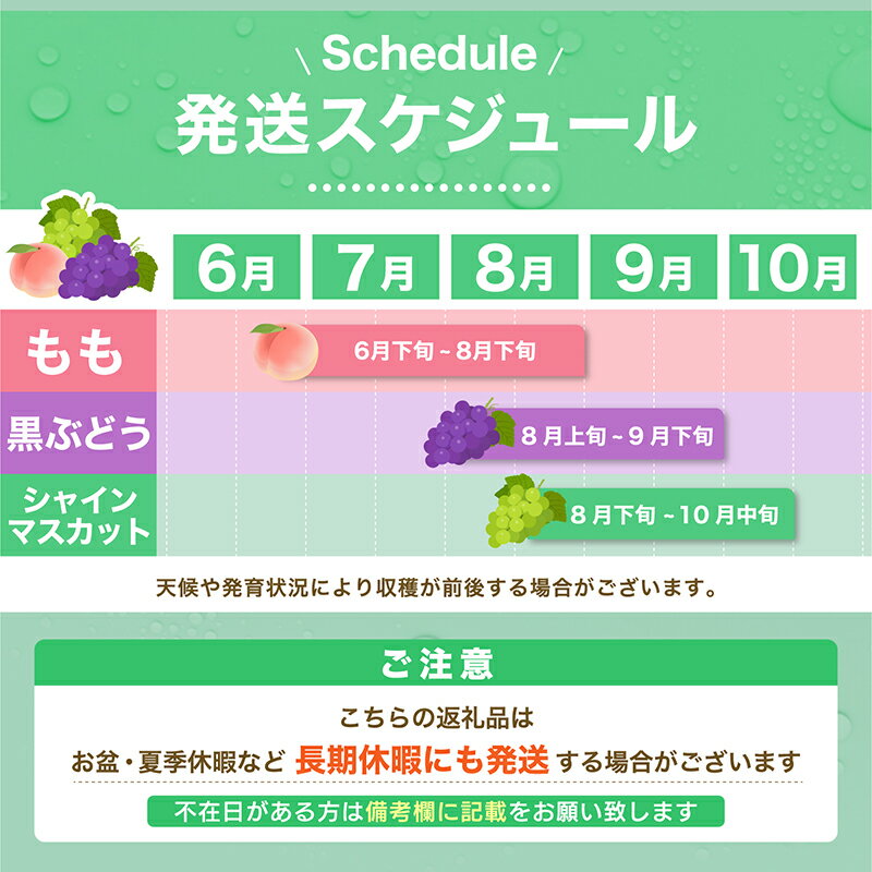 【ふるさと納税】【2026年発送★先行予約】定期便 フルーツ 先行予約 山梨 シャインマスカット 桃 黒葡萄 高評価 お試し ふるさと納税 ランキング 果物 山梨県 笛吹市 人気 冷蔵 定期 もも ぶどう 葡萄 - 画像3