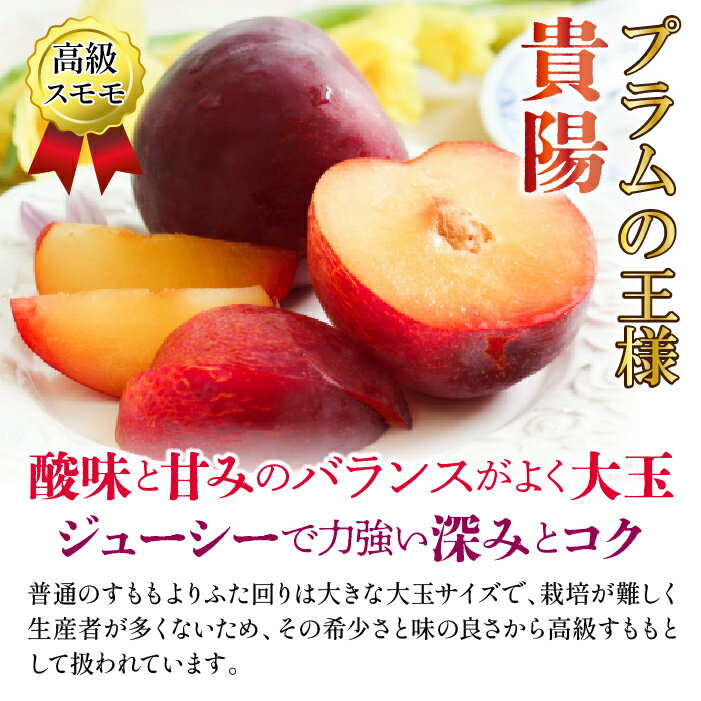 【ふるさと納税】【2026年発送★先行予約】 笛吹市産　もも×貴陽食べ比べセット約2.0kg（5〜10玉） ふるさと納税 おすすめ ランキング 桃 もも 貴陽 すもも スモモ プラム 笛吹市 国産 人気 期間限定 果物 フルーツ 旬 甘い 酸味 高級 山梨県 送料無料 205-009 サムネイル2