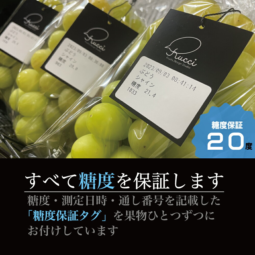 【ふるさと納税】【2026年発送★先行予約】【全房糖度20度保証付】シャインマスカット 選べる容量 約1.1kg～/日テレ「ZIP!」TBS「ひるおび」にて紹介！美味しいフルーツだけをお届け【ルッチ Rucci】 山梨県 笛吹市 果物 ぶどう 贈答 人気 ギフト 高級 先行予約 104-041-RK サムネイル3
