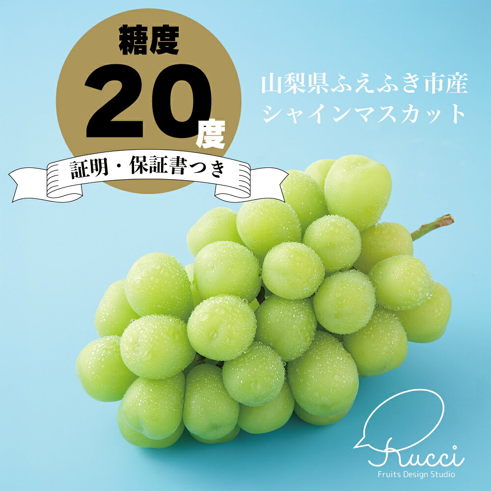 【2026年発送★先行予約】【全房糖度20度保証付】シャインマスカット 選べる容量 約1.1kg～/日テレ「ZIP!」TBS「ひるおび」にて紹介！美味しいフルーツだけをお届け【ルッチ Rucci】 山梨県 笛吹市 果物 ぶどう 贈答 人気 ギフト 高級 先行予約 104-041-RK