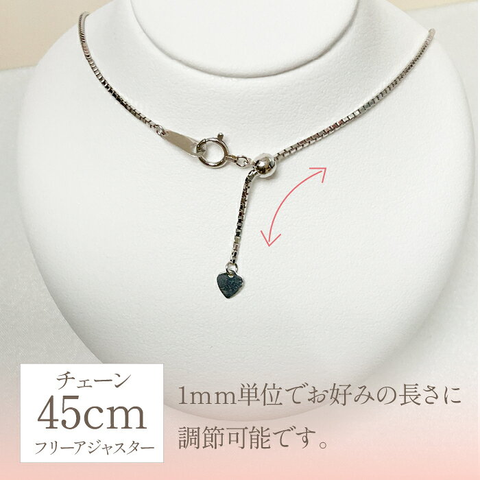 【ふるさと納税】プラチナ　六本爪　ダイヤ　1.0ct ネックレス　管理番号254978　×1本 ふるさと納税 人気 おすすめ ランキング ネックレス プラチナ ダイヤ アクセサリー 宝石 ジュエリー 高級 記念日 鑑定書 プレゼント 山梨県 笛吹市 送料無料 218-002 サムネイル3