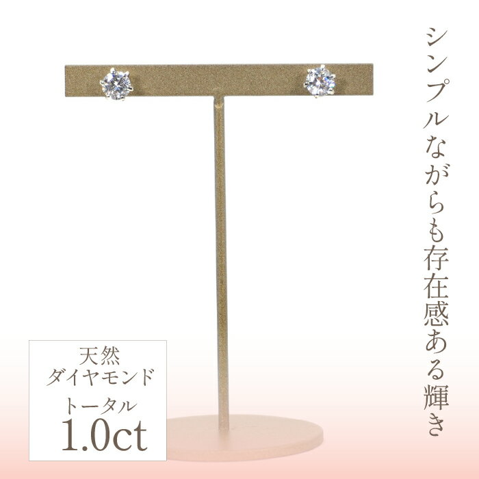 【ふるさと納税】プラチナ　ダイヤ　ピアス　片耳0.5ct×2　管理番号686449　×1ペア ふるさと納税 人気 おすすめ ランキング アクセサリー 宝石 ジュエリー 高級 記念日 プレゼント 山梨県 笛吹市 送料無料 218-003 サムネイル2