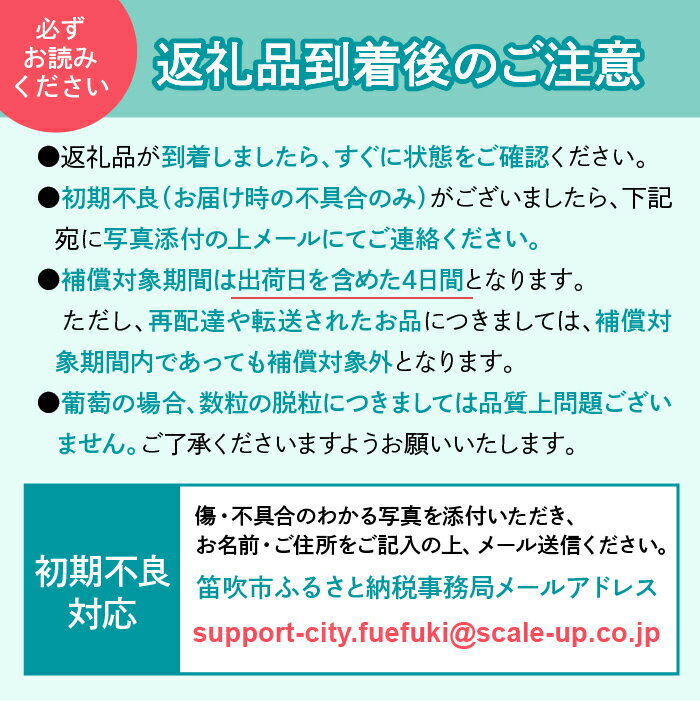【ふるさと納税】【2026年発送★先行予約】【2026年8月下旬～順次発送】山梨県　笛吹産　シャインマスカット　500g（1房）秀品 ふるさと納税 おすすめ ランキング シャインマスカット 笛吹市 国産 人気 期間限定 ぶどう ブドウ 葡萄 旬 果物 フルーツ 山梨県 215-004 サムネイル3