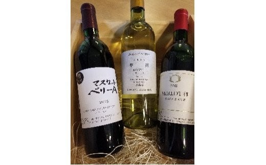 樽熟成ワイン3本セット ふるさと納税 ワイン 笛吹市 山梨ワイン 酒 アルコール 山梨県 記念品 お祝い 送料無料 056-002
