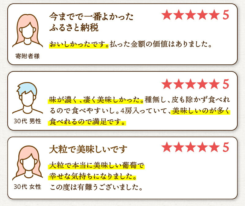 【ふるさと納税】 ＼2026年先行予約／ 山梨県山梨市産 ピオーネ 種なし 約1kg～2kg 1〜5房 ぶどう 葡萄 ブドウ 黒ぶどう 果物 くだもの 山梨 先行 予約 旬 フルーツ デザート 甘い ジューシー お取り寄せ 人気 厳選 山梨県 上野原市 送料無料 ※沖縄県・離島不可 - 画像3