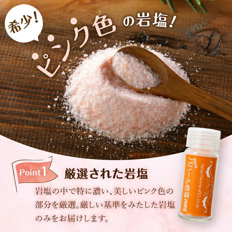 【ふるさと納税】 岩塩 塩 パハール岩塩 mini 天然 無添加 旨み 詰替用 ミル挽粉末 100g 10袋 贈り物 ギフト プレゼント 送料無料 山梨県 上野原市 サムネイル2