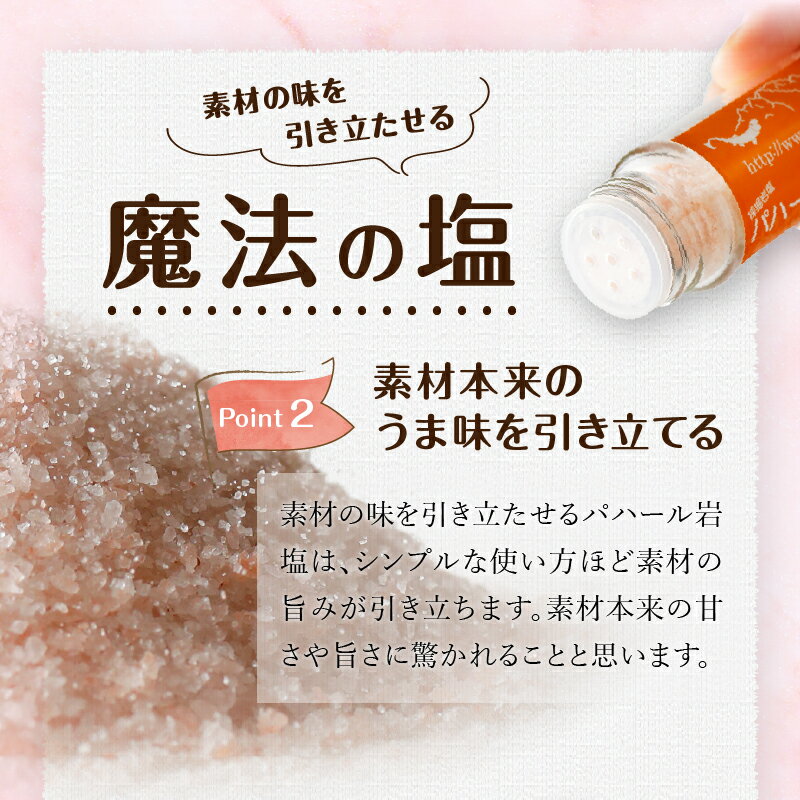 【ふるさと納税】 岩塩 塩 パハール岩塩 mini 天然 無添加 旨み 詰替用 ミル挽粉末 100g 10袋 贈り物 ギフト プレゼント 送料無料 山梨県 上野原市 サムネイル3