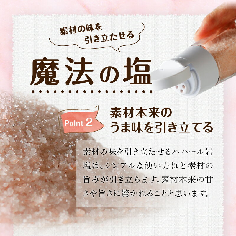 【ふるさと納税】 岩塩 塩 パハール岩塩 天然 無添加 旨み 詰替用 粉末 700g 容器1本付 贈り物 ギフト プレゼント 送料無料 山梨県 上野原市 サムネイル3