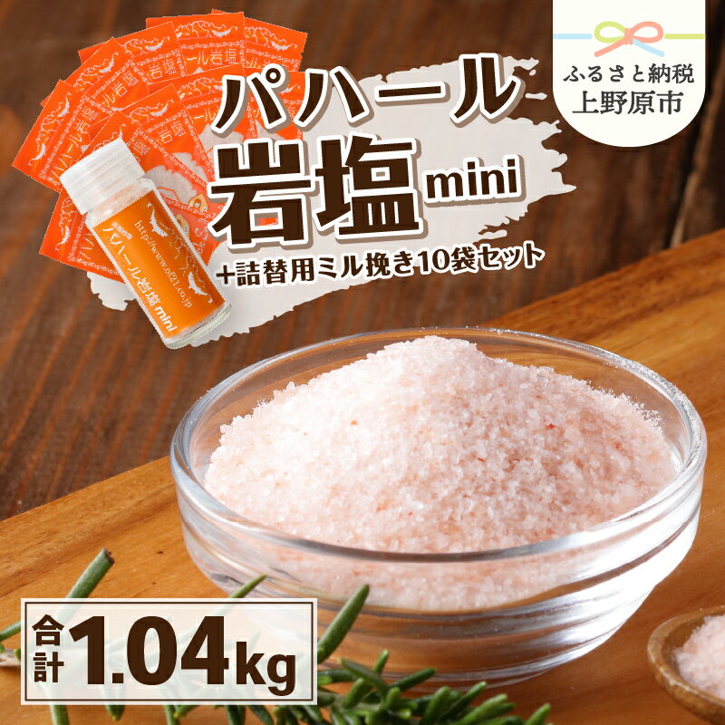 岩塩 塩 パハール岩塩 mini 天然 無添加 旨み 詰替用 ミル挽粉末 100g 10袋 贈り物 ギフト プレゼント 送料無料 山梨県 上野原市