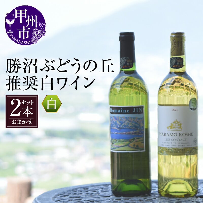 ワイン 勝沼ぶどうの丘推奨 白ワイン 2本 セット 甲州ワイン 日本ワイン おすすめ お楽しみ 厳選 母の日 父の日 記念日 ギフト 山梨県 甲州市 【B2-614】
