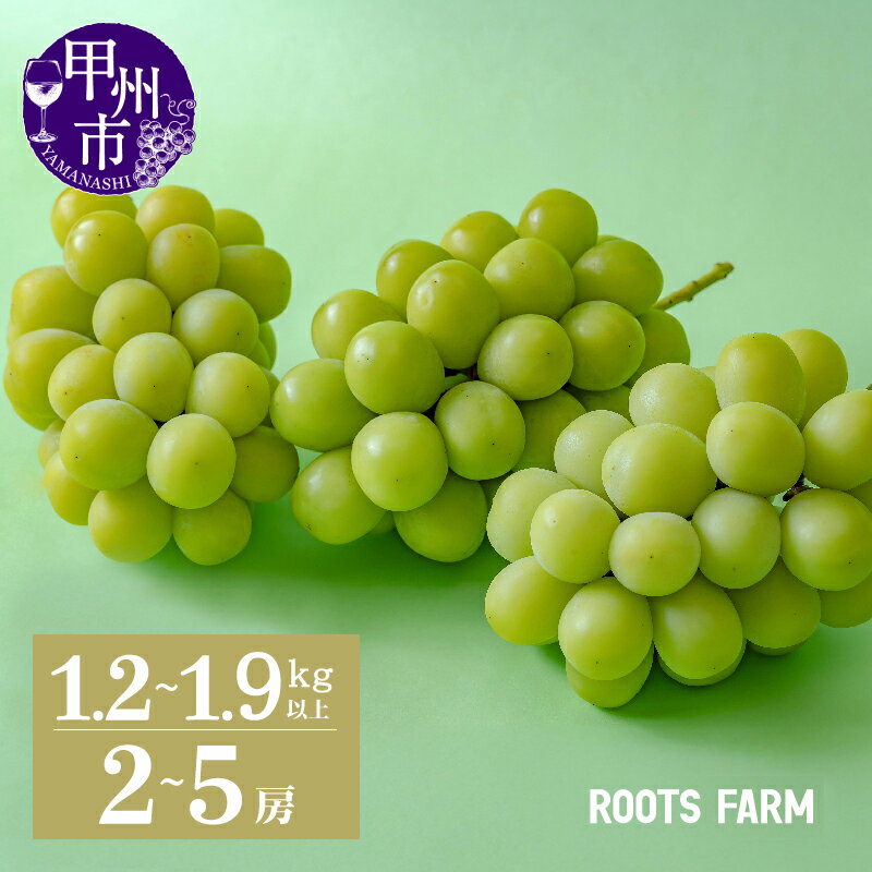 2026年 先行予約 シャインマスカット 9月 10月 発送 選べる内容量 1.2kg以上 1.9kg以上 2房〜5房 甲州市産 フルーツ ぶどう 葡萄 マスカット ブドウ 果物 産地直送 山梨 甲州市 期間限定 数量限定 大きい ギフト 家庭用 ROOTS FARM 社員マスカット （RO）