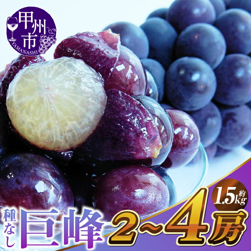 巨峰 約1.5kg 2房〜4房 黒ぶどう 果物 フルーツ ぶどう ブドウ 葡萄 2026年 先行予約 甲州市産 朝穫り 新鮮 くだもの 産地直送 産直 本場 期間限定 数量限定 おすすめ 果実 予約 贈答 ギフト 家庭用 山梨県 甲州市 黒系 果汁 露地栽培 （KSF）【B12-461】