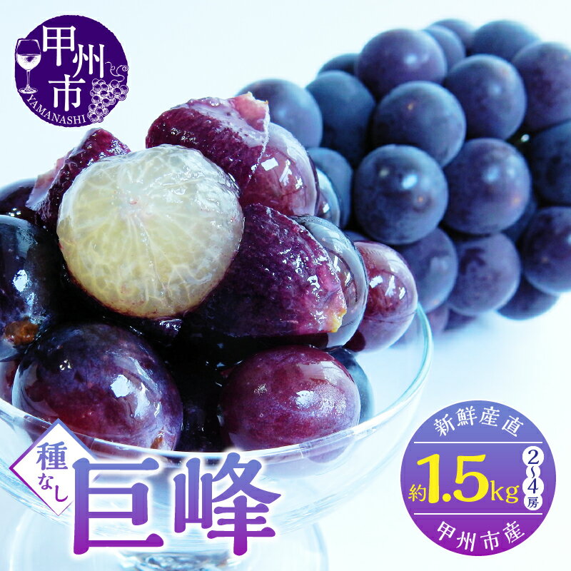 巨峰 2026年 先行予約 果物 約1.5kg 2房～4房 種なし フルーツ 黒ブドウ 葡萄 甲州市産 朝穫り 新鮮 ブドウ ぶどう くだもの 産地直送 期間限定 数量限定 贈答 ギフト 山梨県 甲州市 （KSF） 【B12-461】