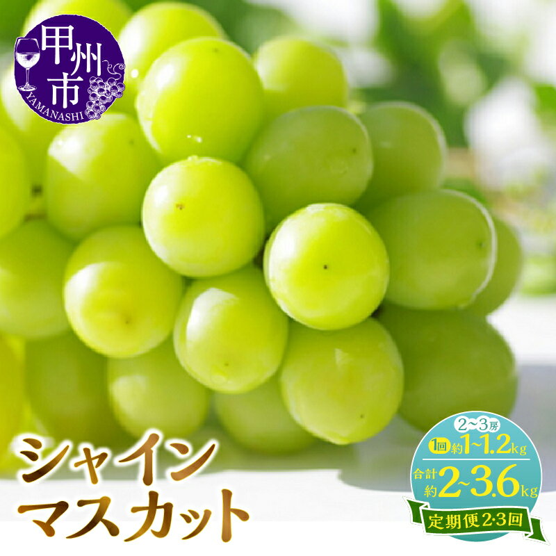 シャインマスカット 定期便 2026年 先行予約 果物 選べる 回数 発送年 2回 3回 約1kg～1.2kg 2～3房 期間限定 人気 フルーツ 葡萄 ぶどう シャイン 産地直送 新鮮 旬 贈答 山梨県 甲州市 8～10月 発送 社員マスカット （KSF）