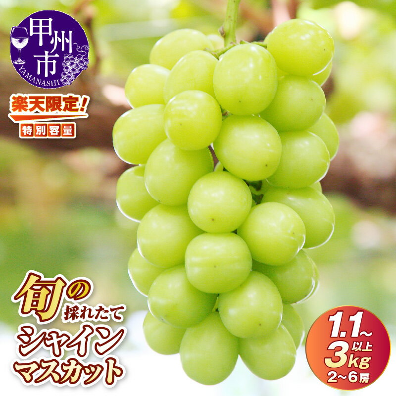 【ふるさと納税】 レビューキャンペーン実施中 シャインマスカット フルーツ 果物 楽天限定 選べる 1.1kg～3kg以上 2～6房 山梨県 甲州市 旬 採れたて 期間限定 2025年発送 8～10月 ぶどう 新鮮 くだもの 種無し 山梨 ギフト 大粒 名芳醇 先行予約 まずはお試し 10000 （HO）