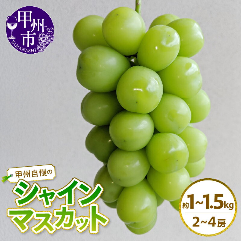 シャインマスカット 2026年 先行予約 約1kg 約1.2kg 約1.5kg 選べる内容量 2～4房 8月 9月 10月 発送 果物 葡萄 ぶどう ブドウ フルーツ 甲州市産 果実 新鮮 旬 人気 数量限定 期間限定 山梨県 甲州市 社員マスカット （NK）
