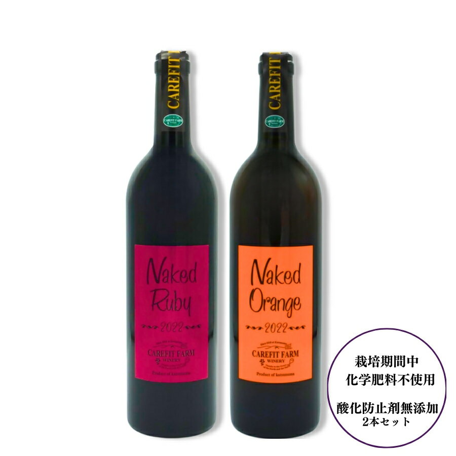 【ふるさと納税】 ワイン 赤ワイン オレンジワイン セット 勝沼産葡萄 ライトボディ 辛口 750ml 2本 飲み比べ 国産葡萄 自然派ワイン 母の日 父の日 記念日 ギフト 甲州 山梨 (MG) 【C-687】 サムネイル2