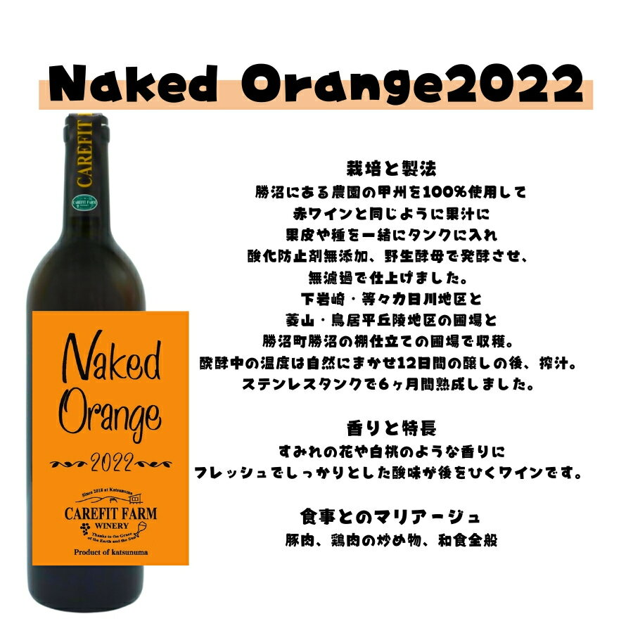 【ふるさと納税】 ワイン 赤ワイン オレンジワイン セット 勝沼産葡萄 ライトボディ 辛口 750ml 2本 飲み比べ 国産葡萄 自然派ワイン 母の日 父の日 記念日 ギフト 甲州 山梨 (MG) 【C-687】 サムネイル3
