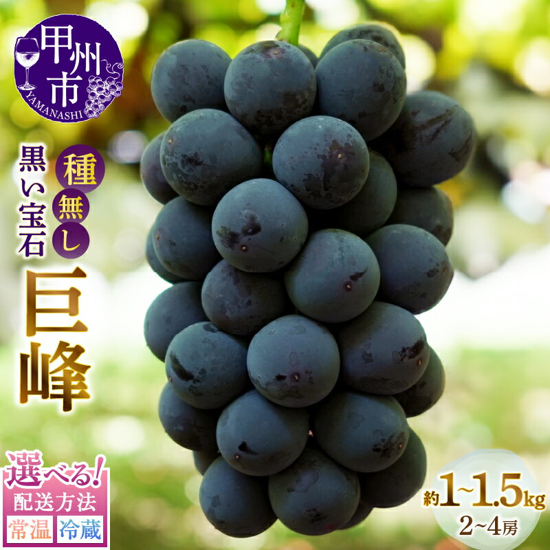 2026年 先行予約 巨峰 種無し 約1kg 約1.5kg 8月 9月 発送 選べる 配送方法 常温 冷蔵 果物 甲州市産 黒ぶどう 黒い宝石 くだもの フルーツ 葡萄 ぶどう 種なし 旬 山梨県産 ブドウ 数量限定 期間限定 贈答 ギフト 家庭用 山梨県 甲州市 （MG）