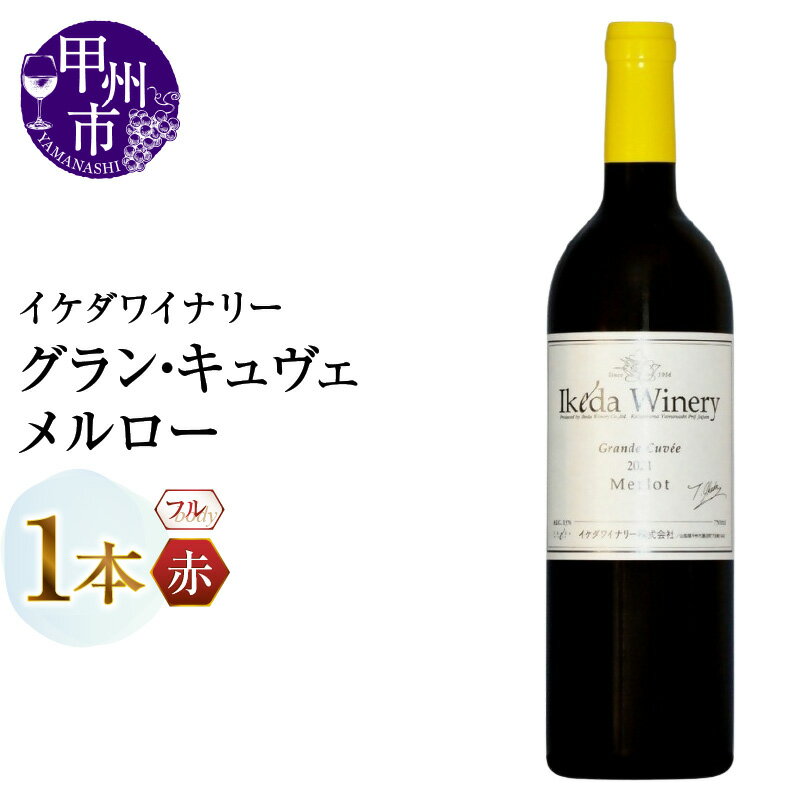 ワイン 赤ワイン 750ml 1本 グラン・キュヴェ メルロー フルボディ 赤 イケダワイナリー 本格 酒 お酒 山梨 母の日 父の日 記念日 ギフト 山梨県 甲州市 （MG） 【B12-806】