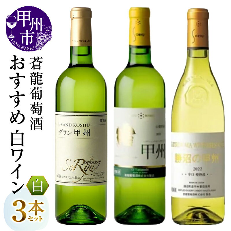 ワイン 白 720ml 3本 セット 白ワイン 辛口 厳選 国産 蒼龍葡萄酒 グラン甲州 トラディショナル・リッチ・テイスト甲州 勝沼の甲州樽熟成 おすすめ 飲み比べ 誕生日 記念日 父の日 母の日 山梨県 甲州市 勝沼 （MG） 【B19-489】