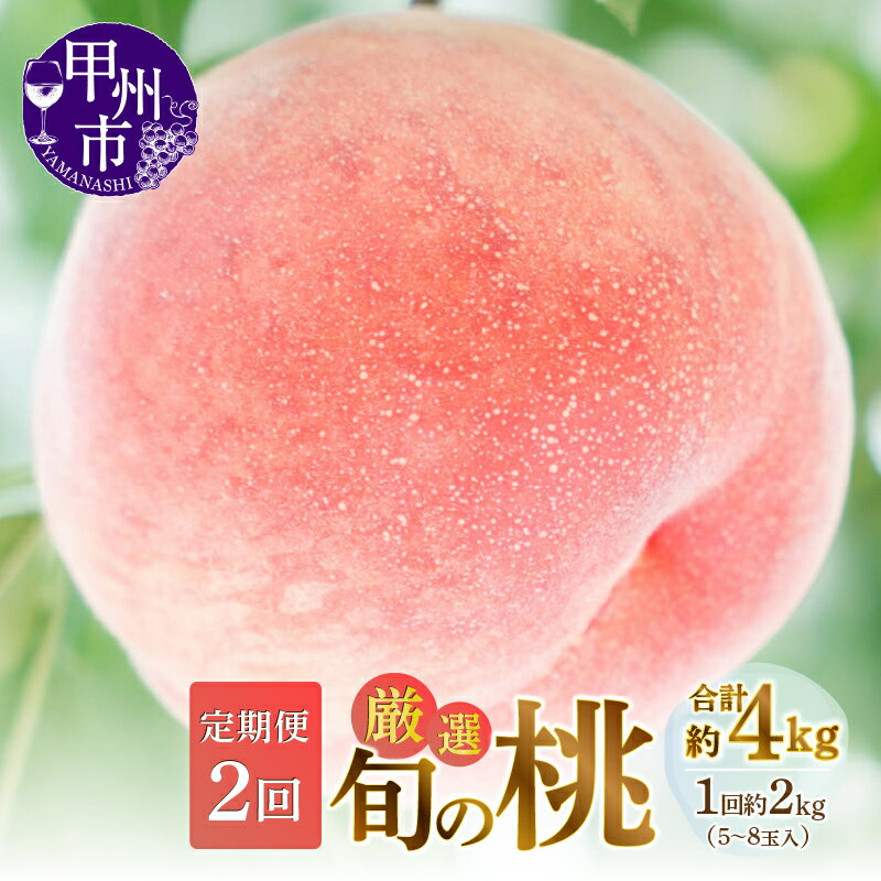 桃 定期便 2026年 先行予約 約2kg 2回 5〜8玉 厳選 旬 果物 くだもの フルーツ もも 果実 人気 新鮮 白鳳系 白桃系 期間限定 数量限定 6月 7月 8月 発送 盛り合わせ 贈答 ギフト 家庭用 おすすめ 甘い こだわり 丁寧 ピーチ 山梨県 甲州市 （MG） 【C-451】