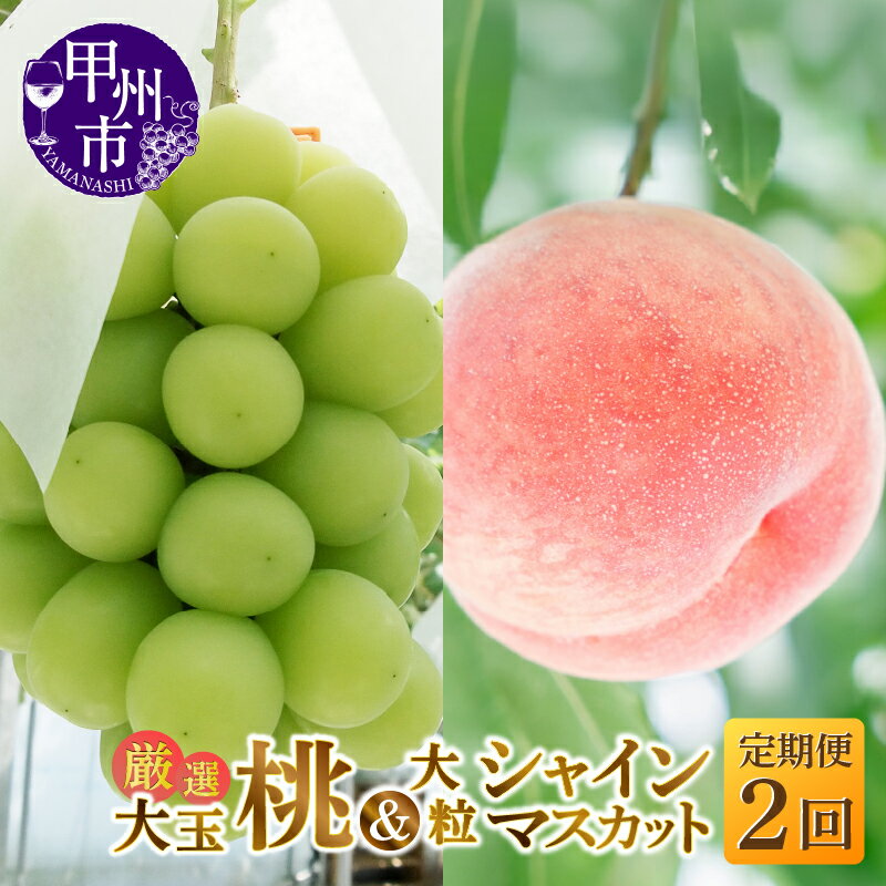 フルーツ 定期便 2026年 先行予約 2回 桃 約2kg 5〜6玉 シャインマスカット 約1.2kg 2〜3房 果物 もも 大玉 白鳳系 白桃系 葡萄 ぶどう 大粒 くだもの 期間限定 ギフト 贈答 山梨県 甲州市 社員マスカット （MG） 【C1-482】