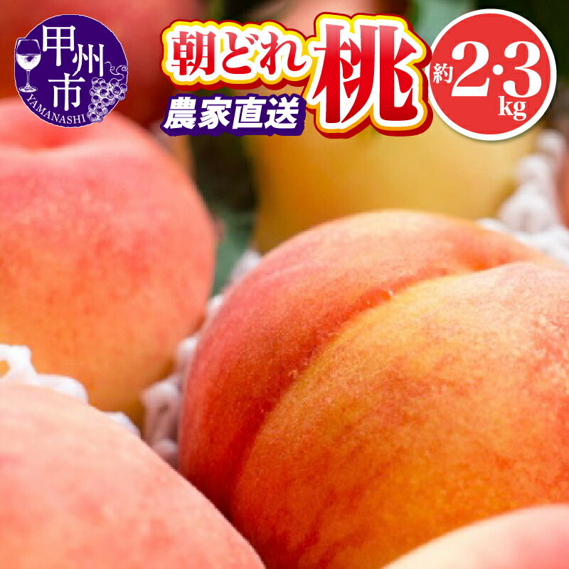 桃 2026年 先行予約 6月 7月 8月 9月 選べる 内容量 約2kg 約3kg 大玉 4～11玉 果物 もも フルーツ 甲州市 厳選 朝どれ 新鮮 果実 くだもの 池田青果 山梨県 白桃系 白鳳系 期間限定 数量限定 人気 盛り合わせ 発送 （IS）