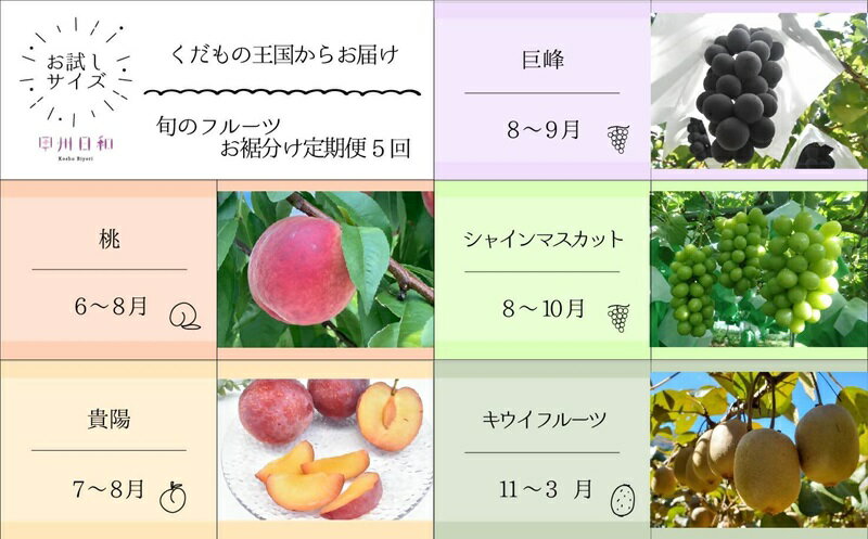 フルーツ 定期便 全5回 旬 果物 桃 貴陽 巨峰 シャインマスカット キウイフルーツ もも 葡萄 マスカット スモモ プラム 産地直送 お試しサイズ 数量限定 お裾分け ギフト 贈り物 フルーツ王国 山梨県 甲州市産 （KSB） 【E-109】