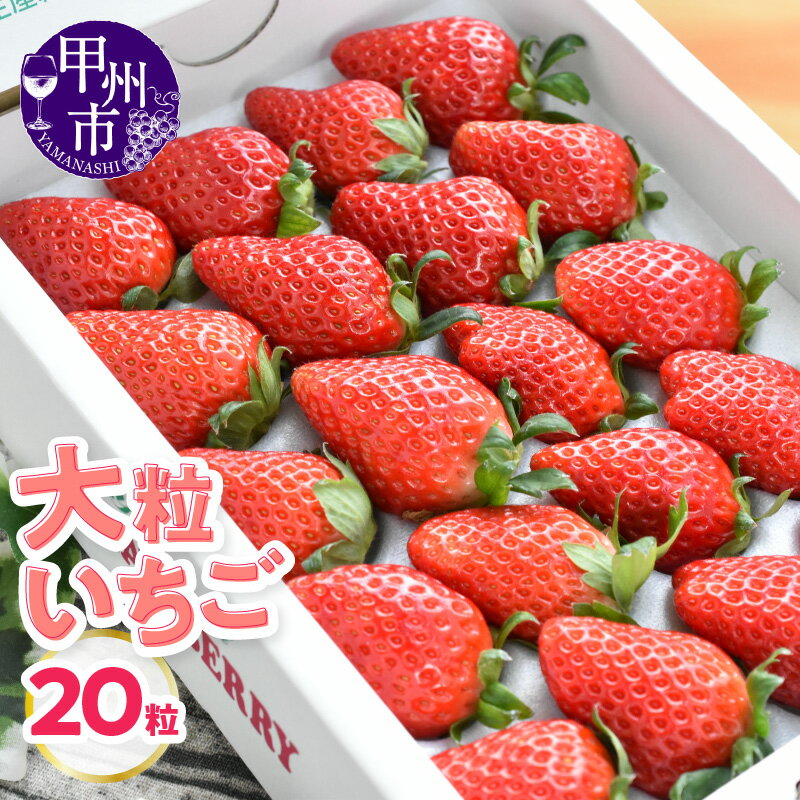 大粒 いちご 果物 20粒 イチゴ 苺 フルーツ くだもの 紅ほっぺ かおり野 果実 期間限定 数量限定 2025年 12月 2026年 1月 2月 3月 4月 5月 発送 冷蔵 クール便 甘み 酸味 芳醇 濃厚 山梨県 甲州市 （KSB） 【B14-101】