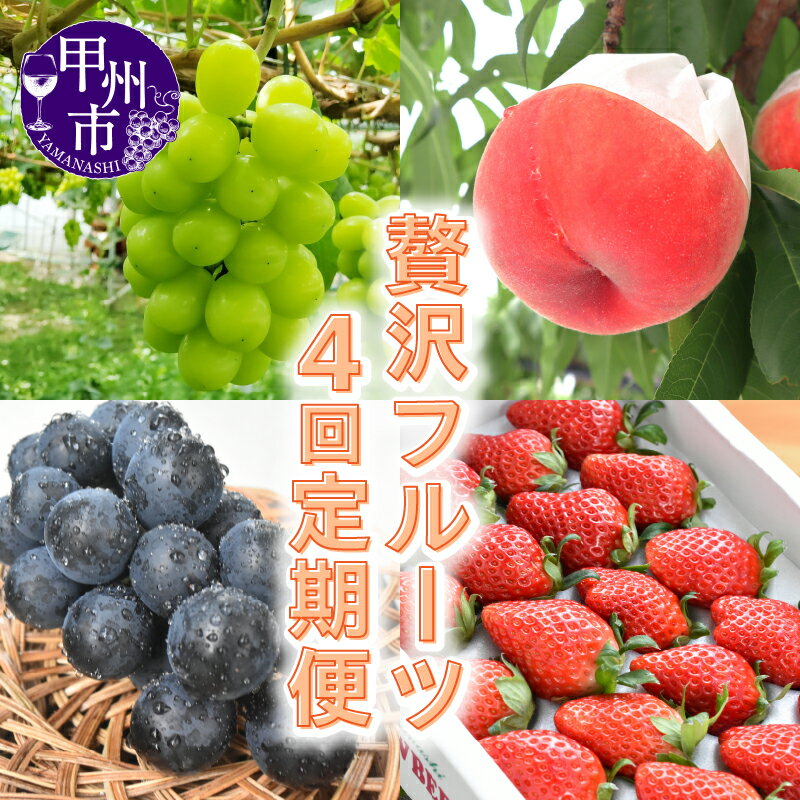 フルーツ 定期便 全4回 シャインマスカット いちご 桃 ブラックビート 果物 くだもの 甲州市産 苺 もも ぶどう マスカット 葡萄 旬 贅沢 たっぷり デザート フルーツ王国 山梨県 甲州市 社員マスカット （KSB） 【F4-130】