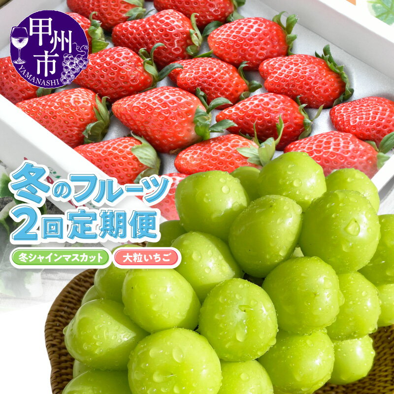 フルーツ 定期便 果物 全2回 シャインマスカット 約600g 1房 冬シャインマスカット いちご 約500g 20粒 大粒 苺 イチゴ 紅ほっぺ かおり野 ぶどう 葡萄 2025年発送 期間限定 数量限定 果実 贈答 ギフト 社員マスカット 山梨 甲州市 （KSB） 【C6-101】