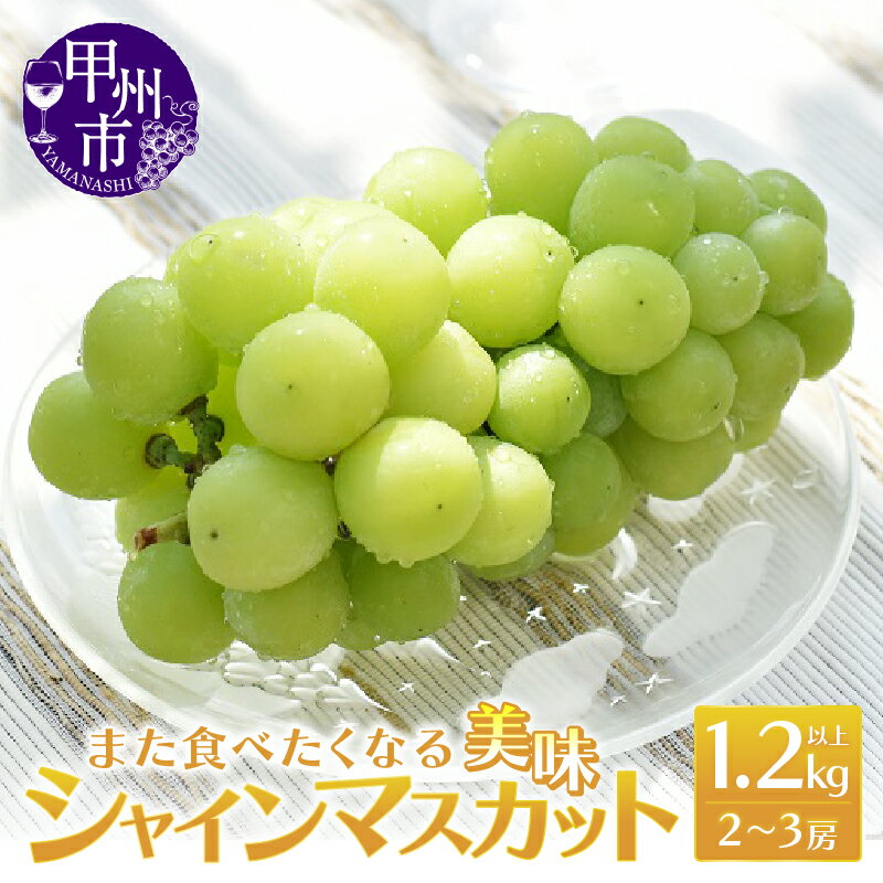 シャインマスカット 2026年 先行予約 1.2kg以上 2〜3房 果物 フルーツ 葡萄 ブドウ ぶどう 美味 期間限定 8月 9月 10月 発送 山梨県産 甲州市産 新鮮 人気 採れたて 厳選 社員マスカット （MRN） 【B-147】
