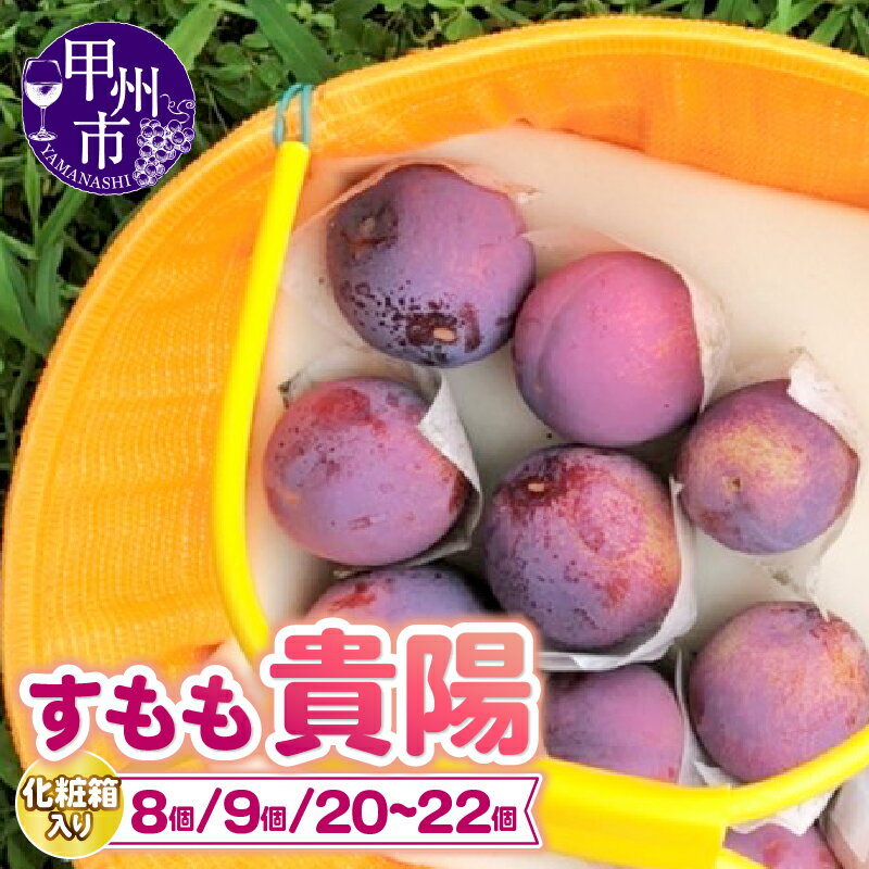すもも 貴陽 大玉 選べる内容量 約1.35kg〜約2.8kg 8玉 9玉 20〜22玉 フルーツ 果物 完熟 甘い くだもの スモモ 7月 8月 発送 冷蔵 期間限定 数量限定 化粧箱入り 家庭用 ギフト 贈答用 山梨県 甲州市 2026年 先行予約 （DOM）
