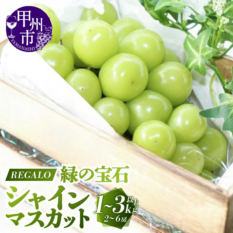 シャインマスカット 2026年 先行予約 選べる 内容量 1kg～3kg以上 2～6房 8月 9月 10月 甲州市産 マスカット ぶどう 果物 新鮮 くだもの フルーツ 甘い 大きい 果実 人気 期間限定 発送 山梨県 甲州市 社員マスカット （RG）