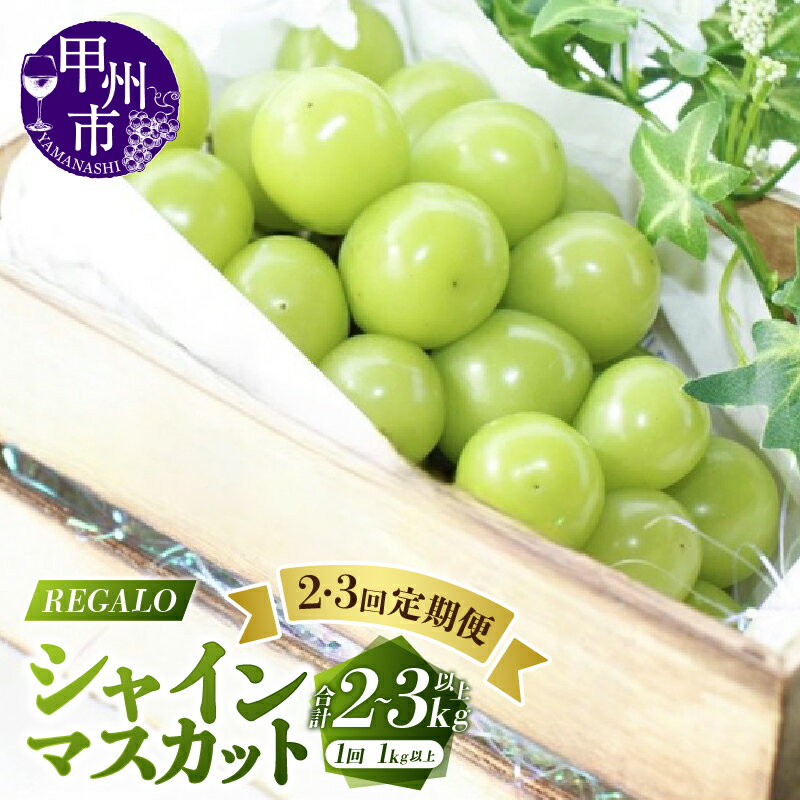2026年 先行予約 定期便 シャインマスカット 選べる 回数 2回 3回 1kg以上 2房 3房 果物 フルーツ 9月 上旬 中旬 下旬 発送 期間限定 産地直送 山梨県 甲州市 ぶどう 葡萄 ブドウ 種無し ギフト プレゼント 社員マスカット （RG）