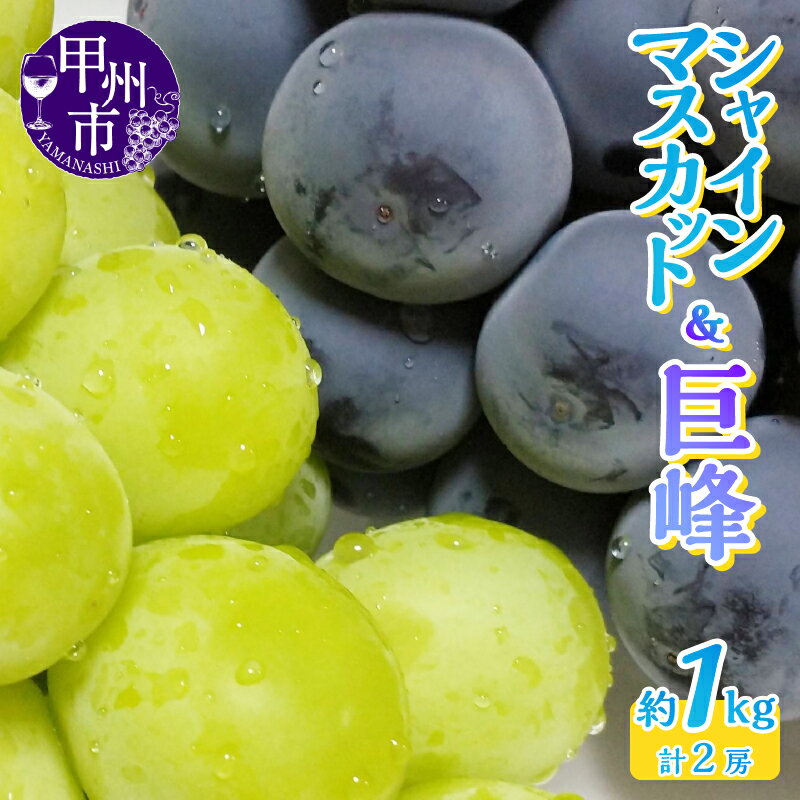 シャインマスカット 巨峰 2種 2026年 先行予約 2房 1.0kg 選べる 発送年 食べ比べ 2025年 期間限定 8月〜10月 発送 果物 フルーツ ぶどう 盛り合わせ マスカット 詰め合わせ 甘い 果実 人気 おすすめ 名産 山梨県 甲州市 社員マスカット （LKS） 【B-852】