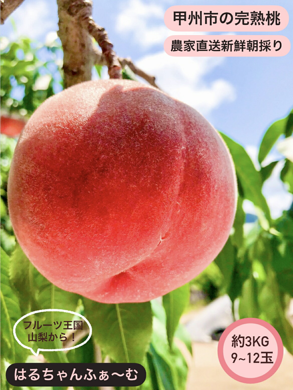 桃 約 3kg 9〜12玉 白鳳系 白桃系 果物 くだもの フルーツ もも 新鮮 果実 旬 甲州市 山梨 人気 期間限定 農家直送 数量限定 7月 8月 発送 盛り合わせ 贈答 ギフト 家庭用 2026年発送 （HCF） 【B13-845】