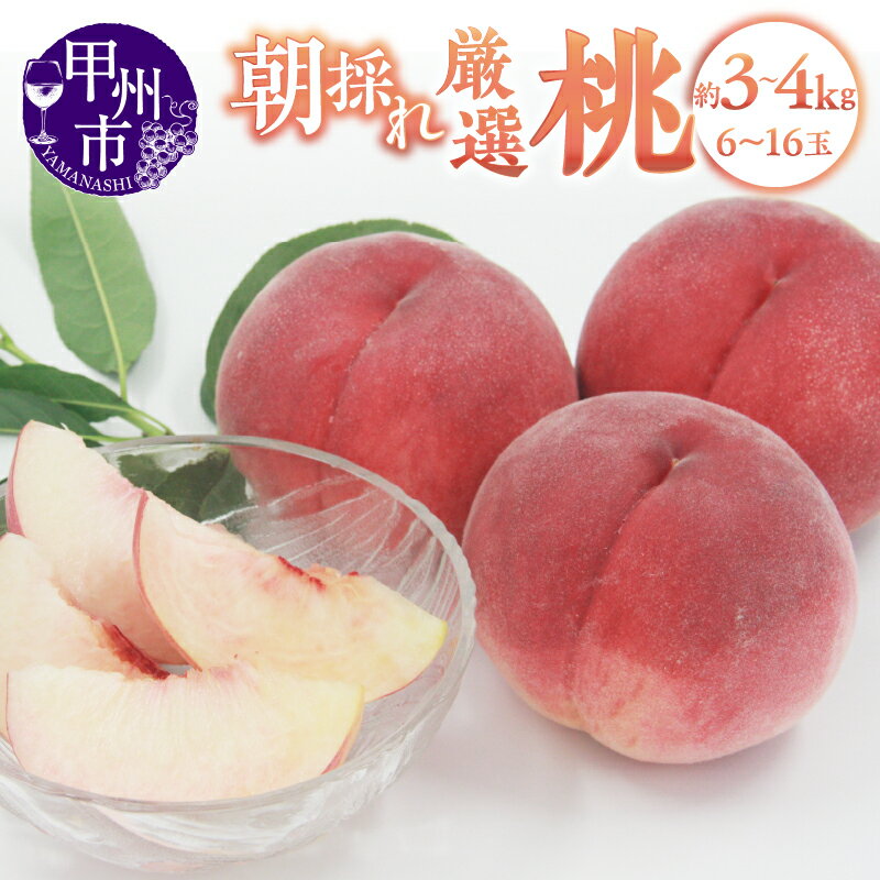 桃 2026年 先行予約 選べる内容量 約3kg 約4kg 6〜16玉 果物 数量限定 白鳳系 白桃系 期間限定 甲州市産 山梨 厳選 もも 産地直送 旬の桃 フルーツ 盛り合わせ 人気 新鮮 贈答 ギフト 家庭用 6月 7月 8月 9月 発送 （APX）