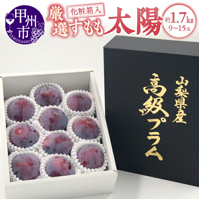 すもも 太陽プラム 2026年 先行予約 7月 8月 9月 発送 約1.7kg 9〜15玉 果物 フルーツ 太陽 プラム スモモ くだもの 期間限定 数量限定 化粧箱入り ギフト 贈答 家庭用 厳選 新鮮 果実 おすすめ 人気 高評価 ふるさと納税 山梨県 甲州市 （APX） 【B-872】