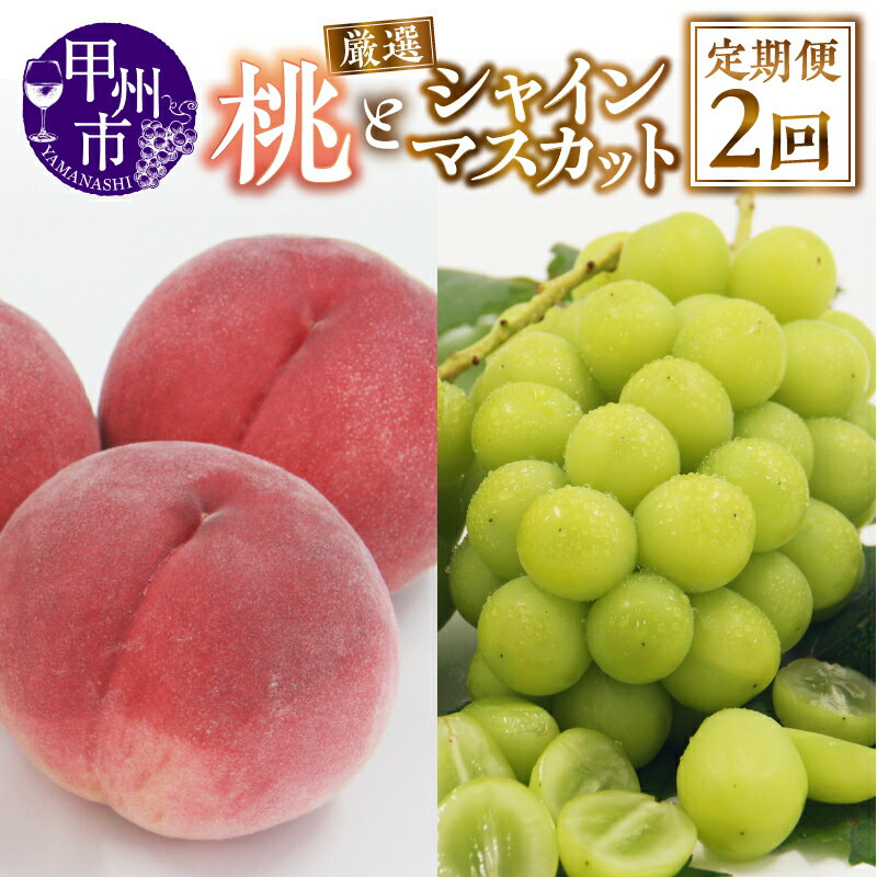フルーツ 定期便 2回 2026年 先行予約 もも 約2kg 4〜7玉 シャインマスカット 約1kg 2〜3房 果物 厳選 新鮮 朝採れ 産地直送 数量限定 期間限定 6月 7月 8月 9月 10月 発送 甲州市 人気 果実 ぶどう 葡萄 桃 山梨県 人気 社員マスカット （APX） 【C-175】